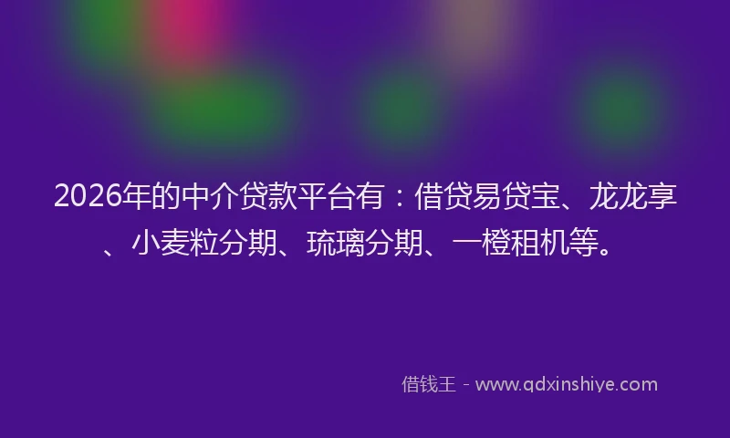 2026年的中介贷款平台有：借贷易贷宝、龙龙享、小麦粒分期、琉璃分期、一橙租机等。