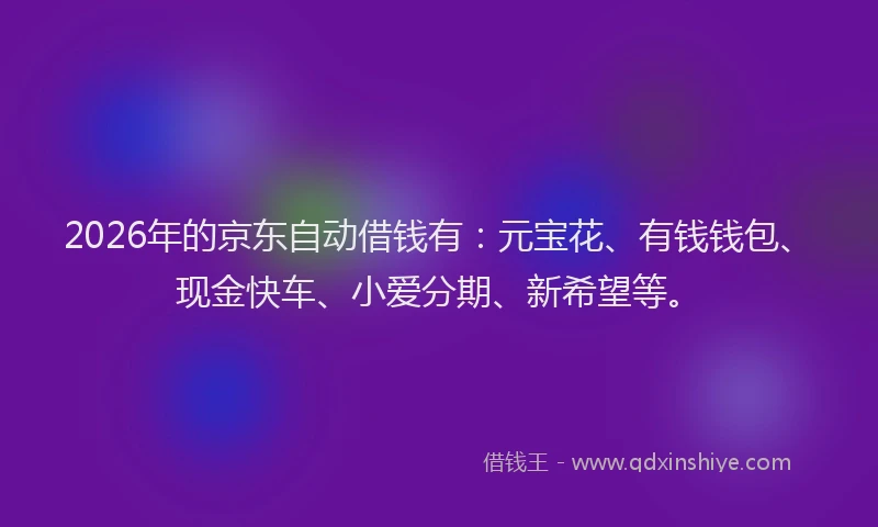 2026年的京东自动借钱有：元宝花、有钱钱包、现金快车、小爱分期、新希望等。