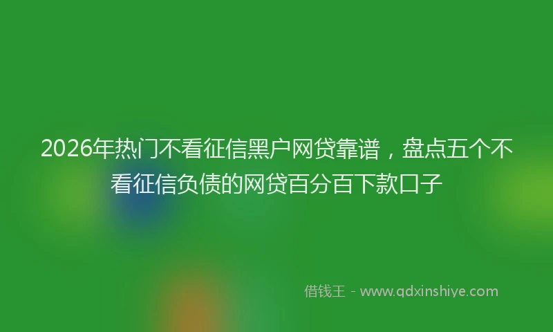 2026年热门不看征信黑户网贷靠谱，盘点五个不看征信负债的网贷百分百下款口子