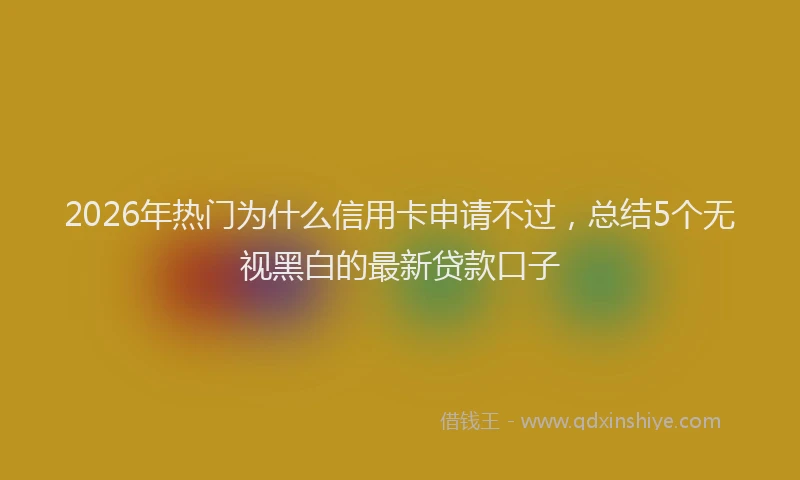 2026年热门为什么信用卡申请不过，总结5个无视黑白的最新贷款口子