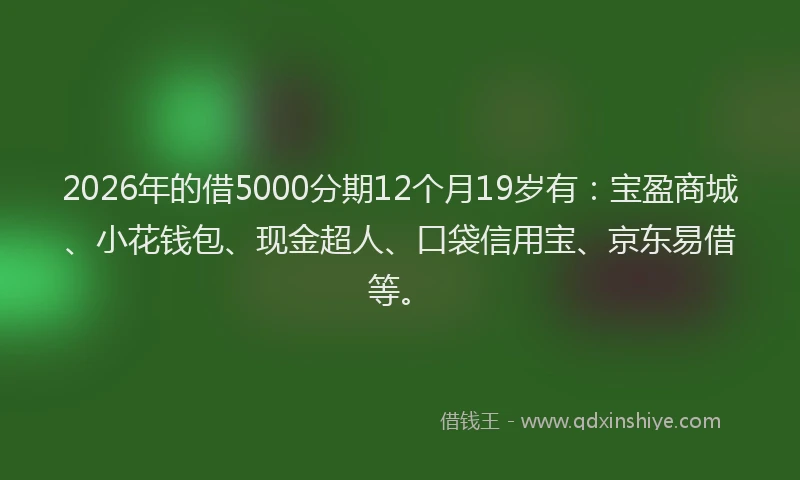 2026年的借5000分期12个月19岁有：宝盈商城、小花钱包、现金超人、口袋信用宝、京东易借等。