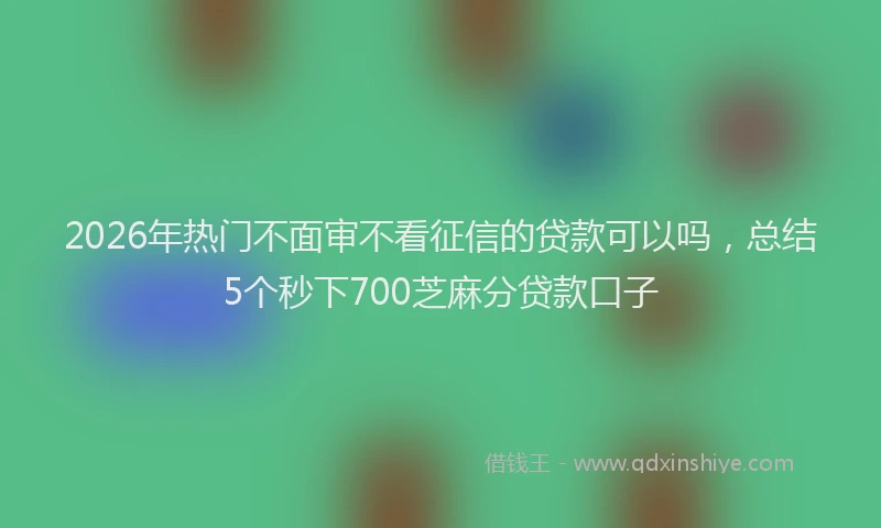 2026年热门不面审不看征信的贷款可以吗，总结5个秒下700芝麻分贷款口子