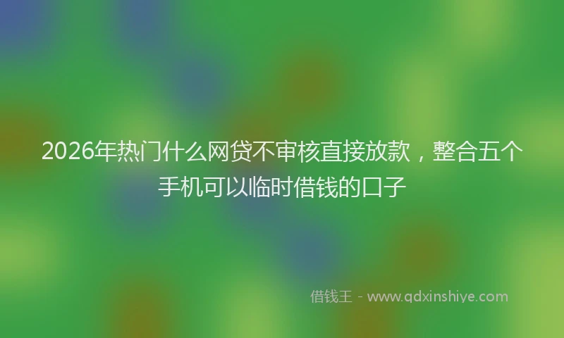2026年热门什么网贷不审核直接放款，整合五个手机可以临时借钱的口子
