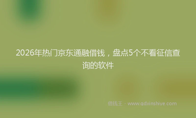 2026年热门京东通融借钱，盘点5个不看征信查询的软件