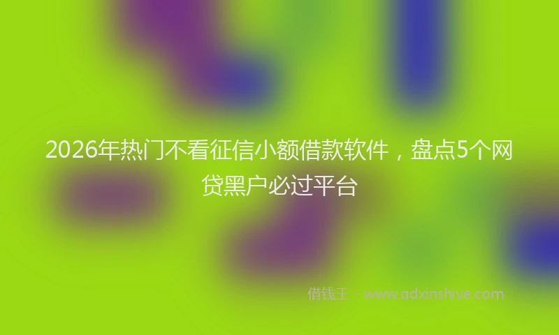 2026年热门不看征信小额借款软件，盘点5个网贷黑户必过平台
