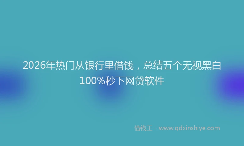 2026年热门从银行里借钱，总结五个无视黑白100%秒下网贷软件