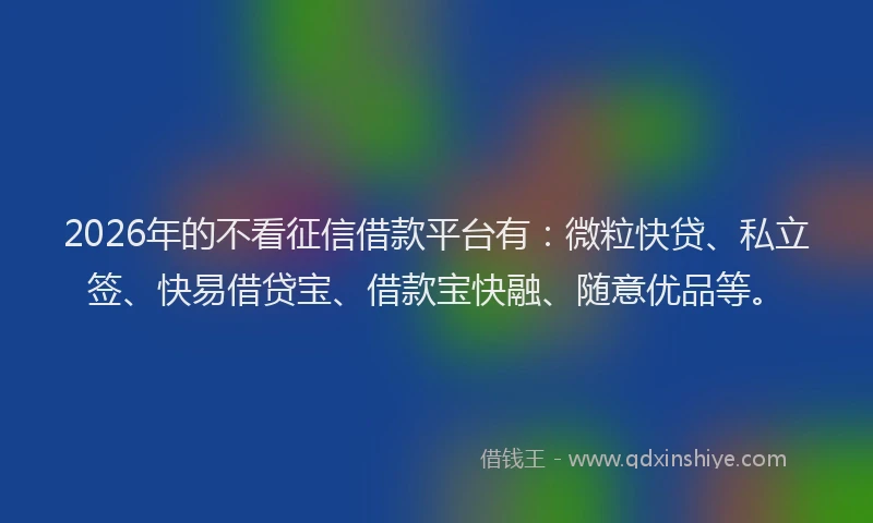 2026年的不看征信借款平台有：微粒快贷、私立签、快易借贷宝、借款宝快融、随意优品等。