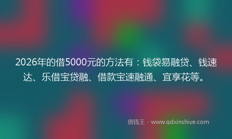 2026年的借5000元的方法有：钱袋易融贷、钱速达、乐借宝贷融、借款宝速融通、宜享花等。