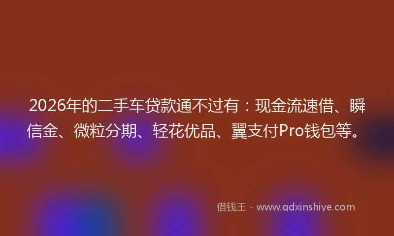 2026年的二手车贷款通不过有：现金流速借、瞬信金、微粒分期、轻花优品、翼支付Pro钱包等。