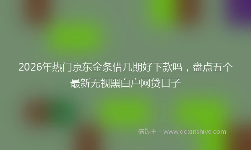 2026年热门京东金条借几期好下款吗，盘点五个最新无视黑白户网贷口子
