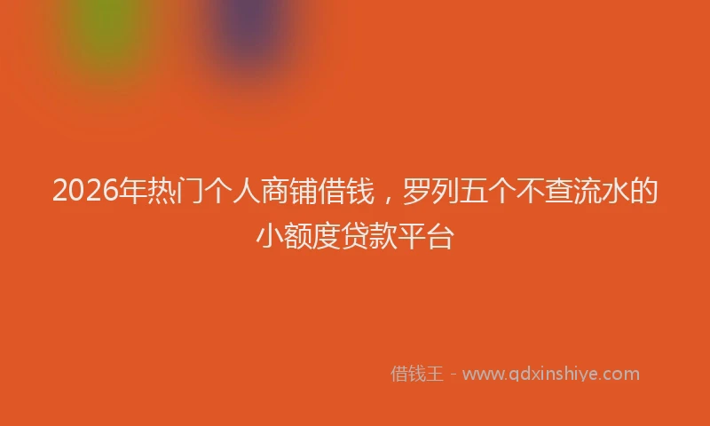 2026年热门个人商铺借钱，罗列五个不查流水的小额度贷款平台