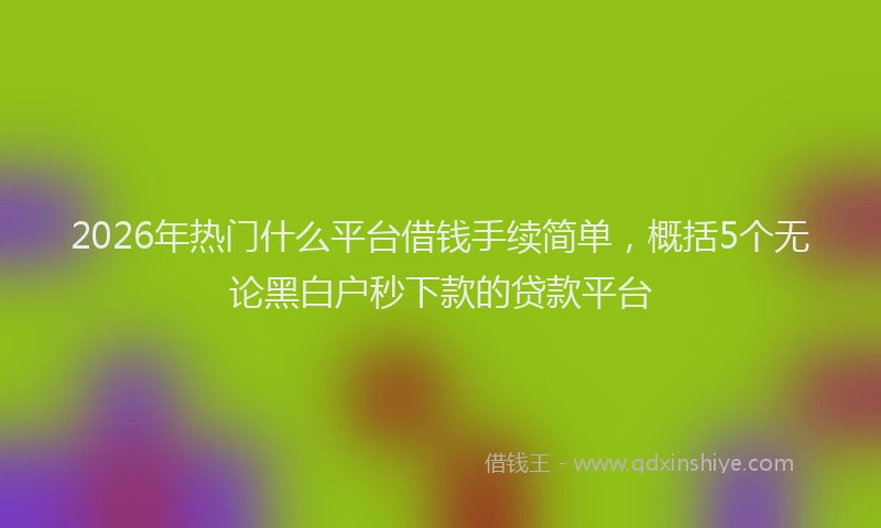 2026年热门什么平台借钱手续简单，概括5个无论黑白户秒下款的贷款平台