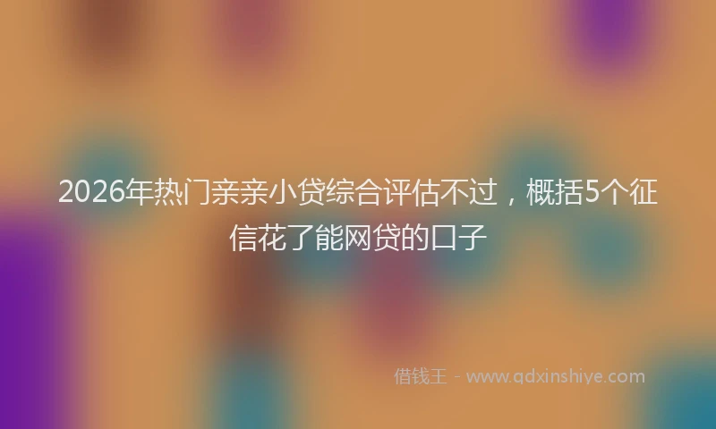 2026年热门亲亲小贷综合评估不过，概括5个征信花了能网贷的口子