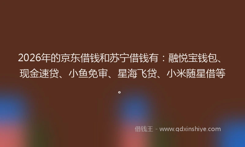 2026年的京东借钱和苏宁借钱有：融悦宝钱包、现金速贷、小鱼免审、星海飞贷、小米随星借等。