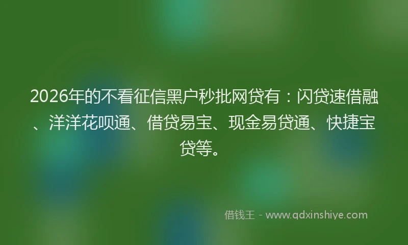 2026年的不看征信黑户秒批网贷有：闪贷速借融、洋洋花呗通、借贷易宝、现金易贷通、快捷宝贷等。