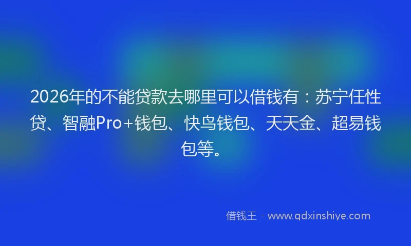 2026年的不能贷款去哪里可以借钱有：苏宁任性贷、智融Pro+钱包、快鸟钱包、天天金、超易钱包等。