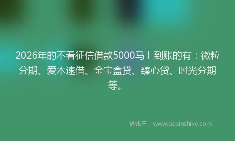 2026年的不看征信借款5000马上到账的有：微粒分期、爱木速借、金宝盒贷、臻心贷、时光分期等。