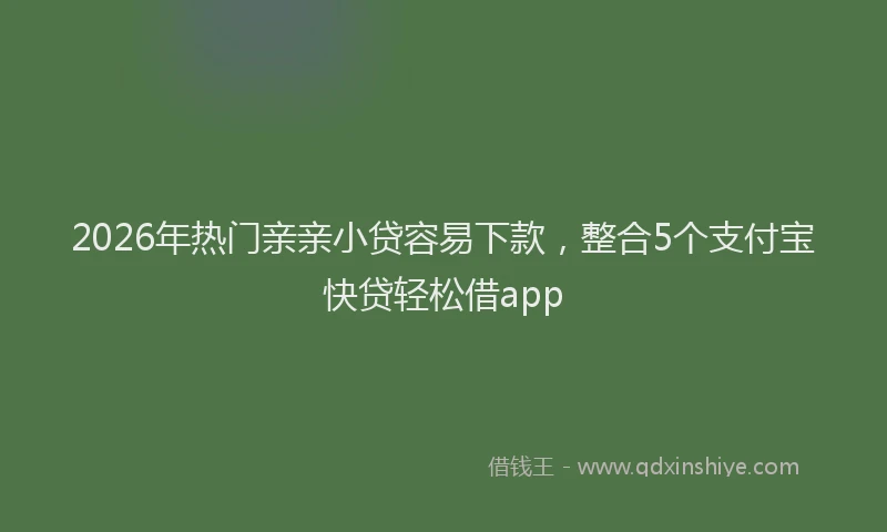 2026年热门亲亲小贷容易下款，整合5个支付宝快贷轻松借app