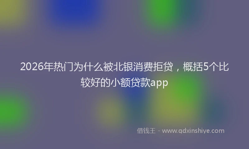 2026年热门为什么被北银消费拒贷，概括5个比较好的小额贷款app