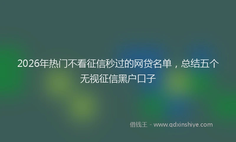 2026年热门不看征信秒过的网贷名单，总结五个无视征信黑户口子