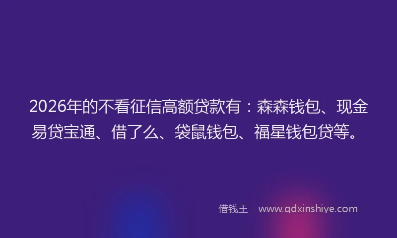 2026年的不看征信高额贷款有：森森钱包、现金易贷宝通、借了么、袋鼠钱包、福星钱包贷等。
