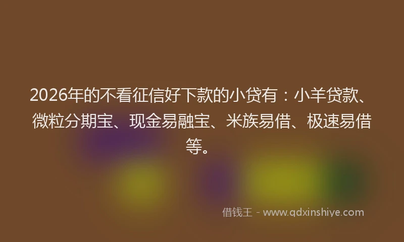 2026年的不看征信好下款的小贷有：小羊贷款、微粒分期宝、现金易融宝、米族易借、极速易借等。