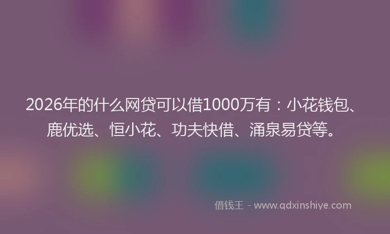 2026年的什么网贷可以借1000万有：小花钱包、鹿优选、恒小花、功夫快借、涌泉易贷等。