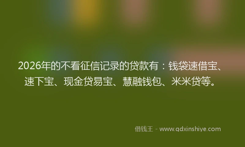 2026年的不看征信记录的贷款有：钱袋速借宝、速下宝、现金贷易宝、慧融钱包、米米贷等。