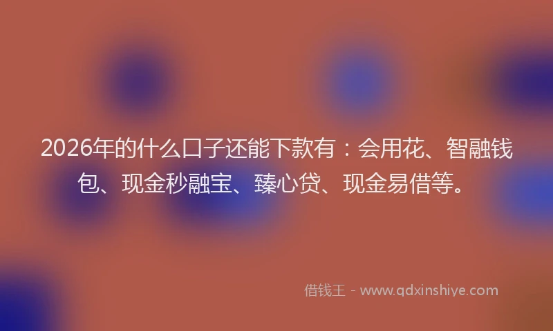 2026年的什么口子还能下款有：会用花、智融钱包、现金秒融宝、臻心贷、现金易借等。