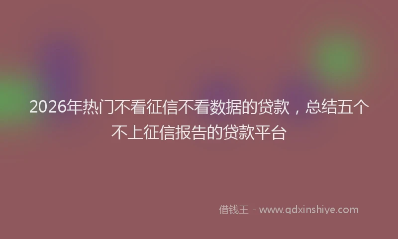 2026年热门不看征信不看数据的贷款，总结五个不上征信报告的贷款平台