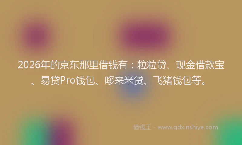 2026年的京东那里借钱有：粒粒贷、现金借款宝、易贷Pro钱包、哆来米贷、飞猪钱包等。