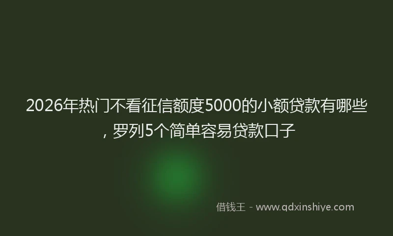 2026年热门不看征信额度5000的小额贷款有哪些，罗列5个简单容易贷款口子