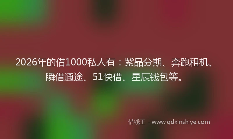 2026年的借1000私人有：紫晶分期、奔跑租机、瞬借通途、51快借、星辰钱包等。