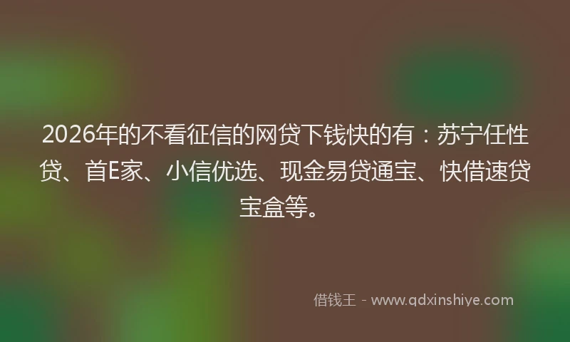 2026年的不看征信的网贷下钱快的有：苏宁任性贷、首E家、小信优选、现金易贷通宝、快借速贷宝盒等。