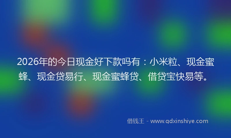 2026年的今日现金好下款吗有：小米粒、现金蜜蜂、现金贷易行、现金蜜蜂贷、借贷宝快易等。