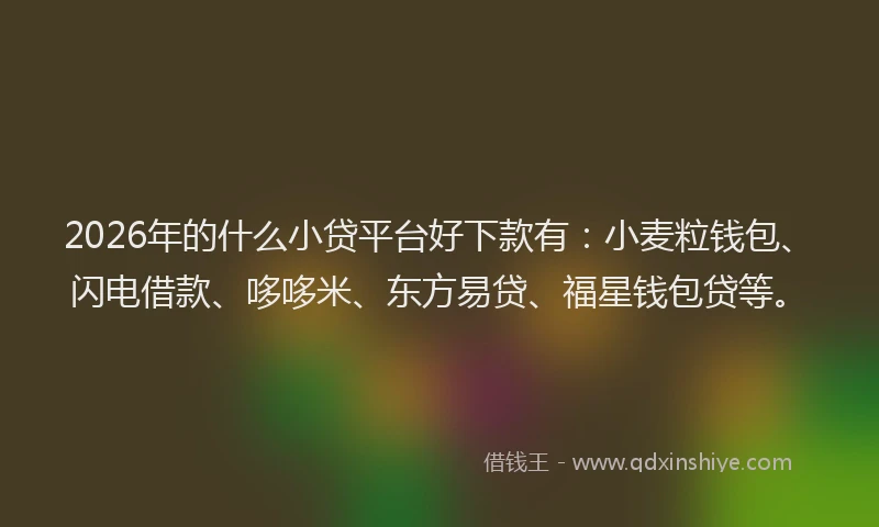 2026年的什么小贷平台好下款有：小麦粒钱包、闪电借款、哆哆米、东方易贷、福星钱包贷等。