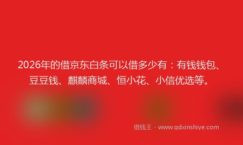 2026年的借京东白条可以借多少有：有钱钱包、豆豆钱、麒麟商城、恒小花、小信优选等。