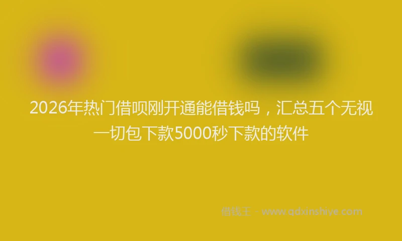 2026年热门借呗刚开通能借钱吗，汇总五个无视一切包下款5000秒下款的软件