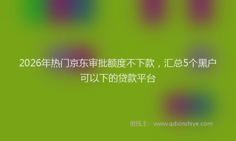 2026年热门京东审批额度不下款，汇总5个黑户可以下的贷款平台