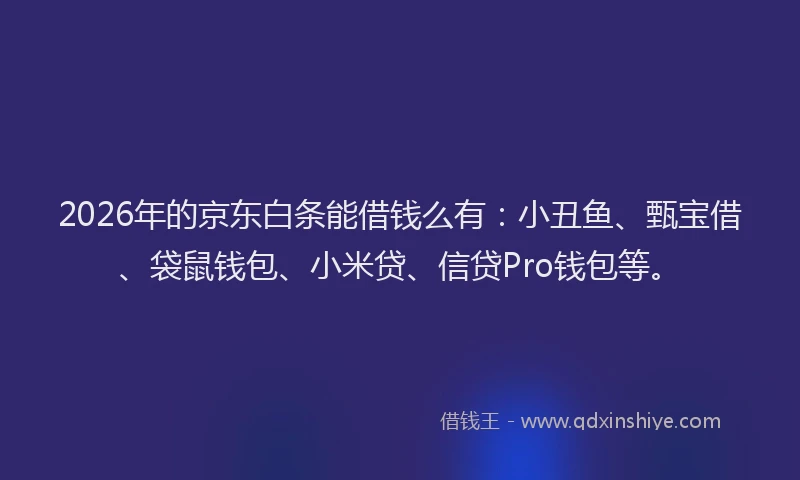 2026年的京东白条能借钱么有：小丑鱼、甄宝借、袋鼠钱包、小米贷、信贷Pro钱包等。