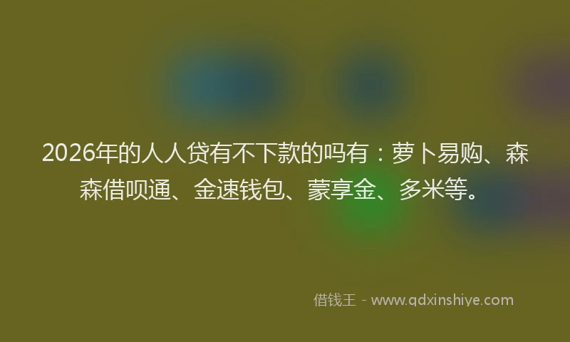 2026年的人人贷有不下款的吗有：萝卜易购、森森借呗通、金速钱包、蒙享金、多米等。