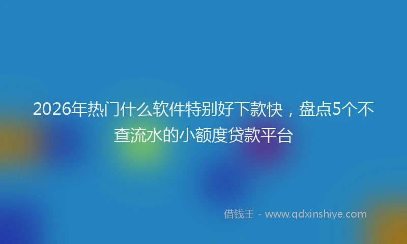 2026年热门什么软件特别好下款快，盘点5个不查流水的小额度贷款平台