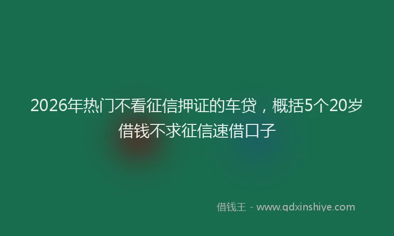 2026年热门不看征信押证的车贷，概括5个20岁借钱不求征信速借口子