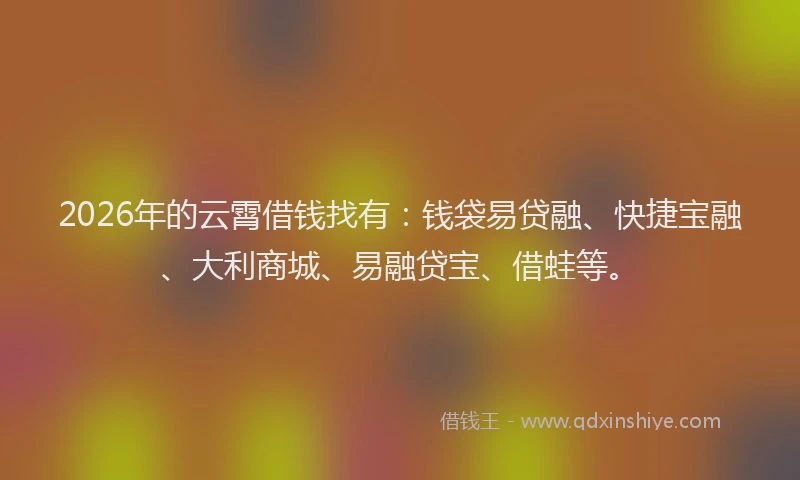 2026年的云霄借钱找有：钱袋易贷融、快捷宝融、大利商城、易融贷宝、借蛙等。