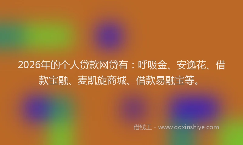 2026年的个人贷款网贷有：呼吸金、安逸花、借款宝融、麦凯旋商城、借款易融宝等。