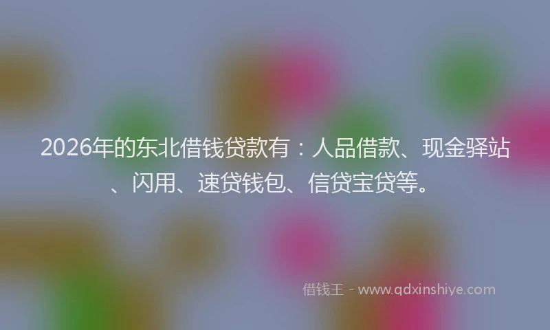 2026年的东北借钱贷款有：人品借款、现金驿站、闪用、速贷钱包、信贷宝贷等。