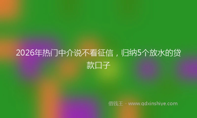 2026年热门中介说不看征信，归纳5个放水的贷款口子