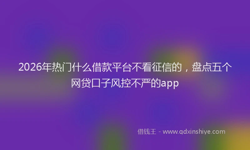 2026年热门什么借款平台不看征信的，盘点五个网贷口子风控不严的app