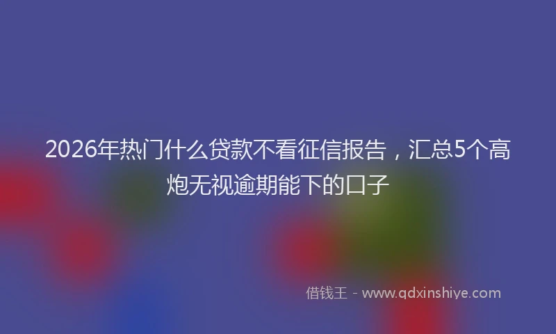 2026年热门什么贷款不看征信报告，汇总5个高炮无视逾期能下的口子