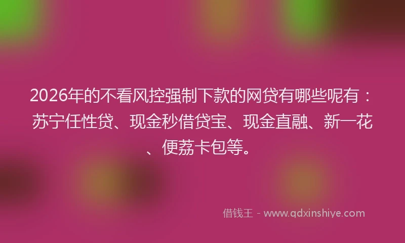2026年的不看风控强制下款的网贷有哪些呢有：苏宁任性贷、现金秒借贷宝、现金直融、新一花、便荔卡包等。